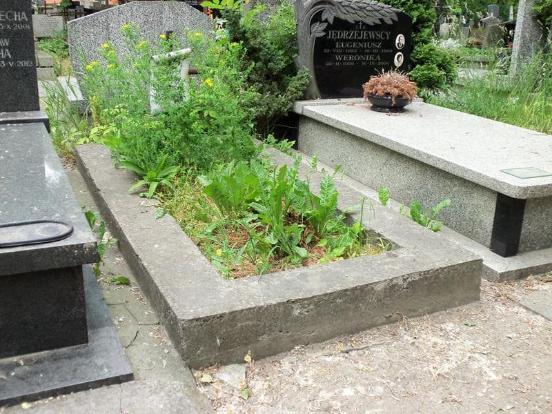 Zdjęcie grobu Wincenty Strumiński (1)