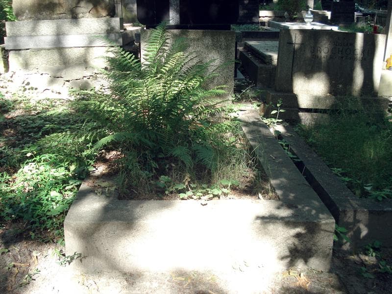 Zdjęcie grobu: Henryk Rydzewski