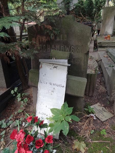 Zdjęcie grobu Eugenia Kochanowska (1)