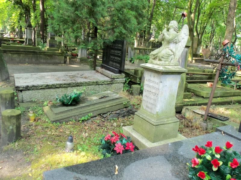 Zdjęcie grobu Antonina Pawłowska (2)