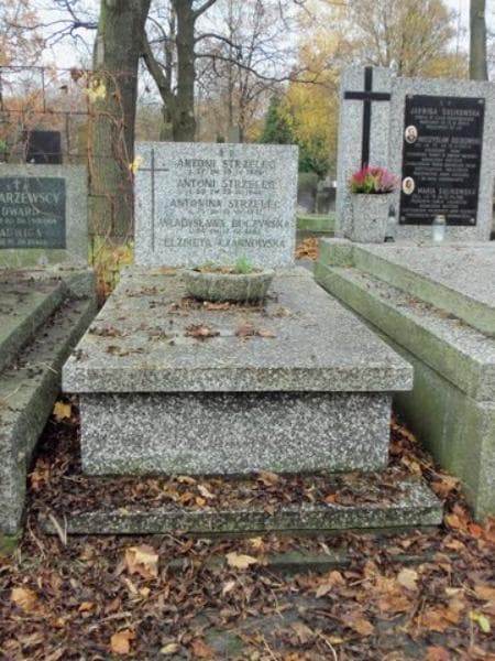 Zdjęcie grobu: Antoni Strzelec