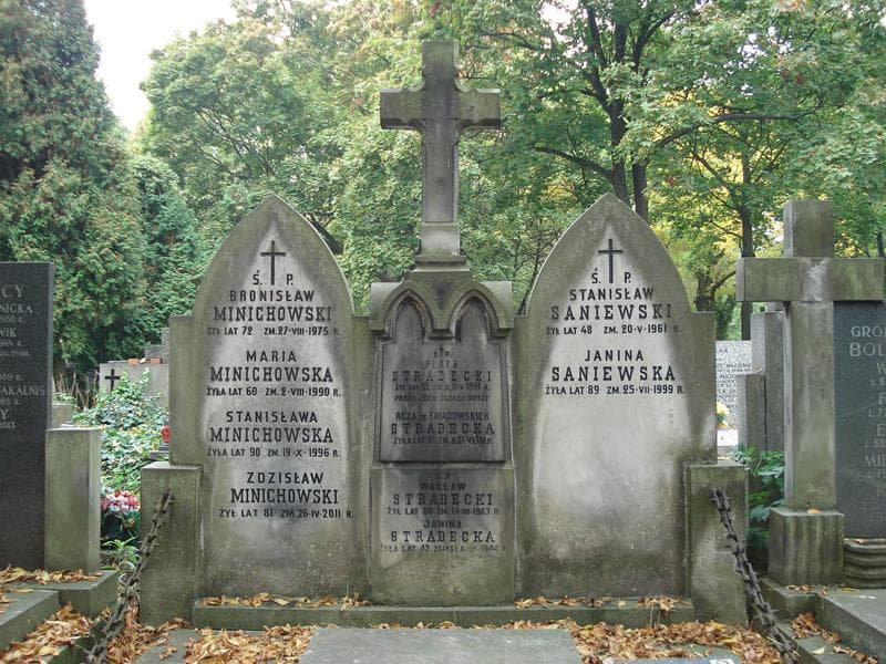 Zdjęcie grobu Janina Stradecka (2)