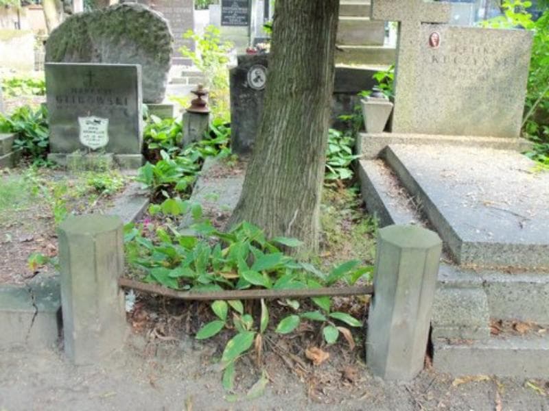 Zdjęcie grobu: Józef Frejsztat