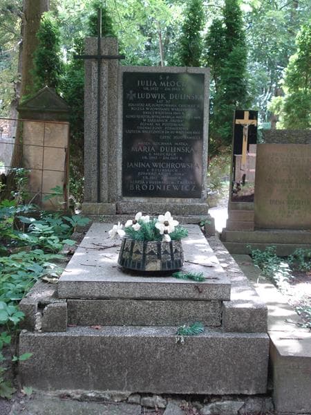 Zdjęcie grobu: Tadeusz Brodniewicz