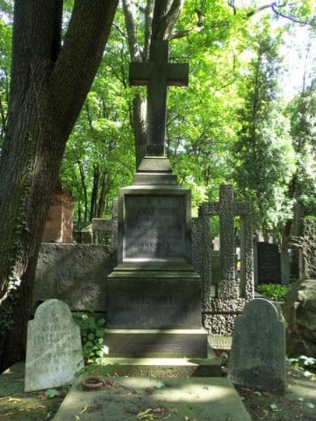 Zdjęcie grobu Wacław Frąckiewicz (2)