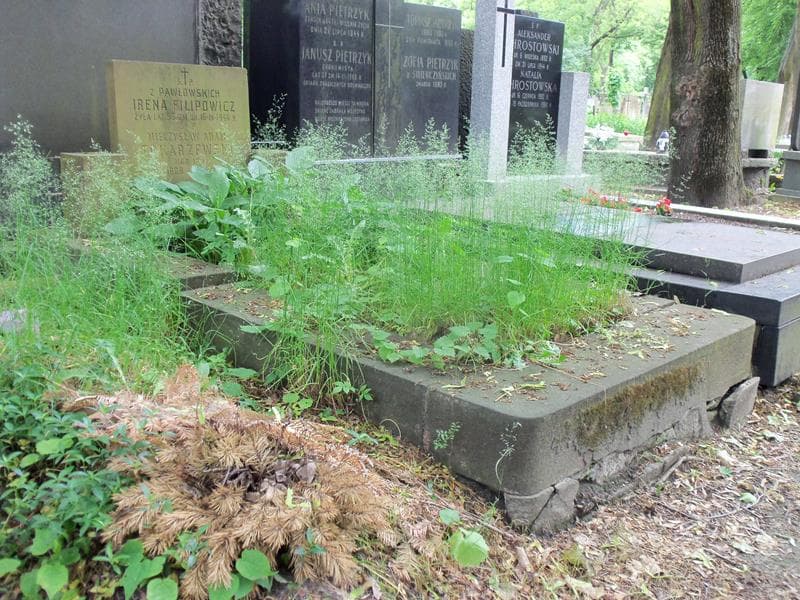 Zdjęcie grobu Irena Filipowicz (1)