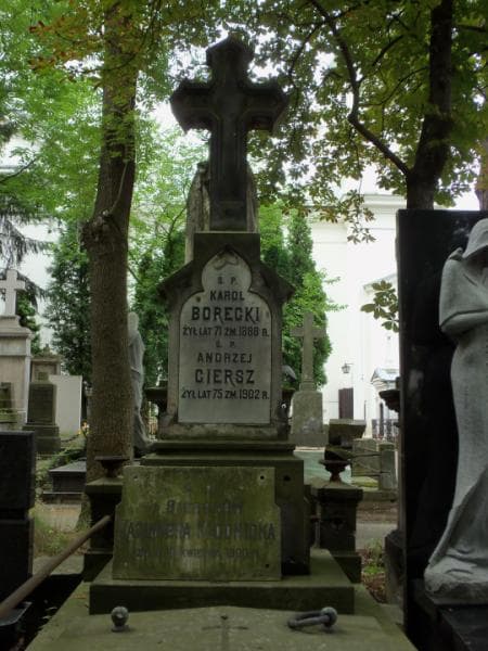 Zdjęcie grobu Karol Borecki (2)