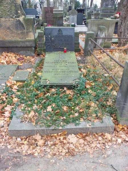 Zdjęcie grobu: Czesław Niepokoyczycki