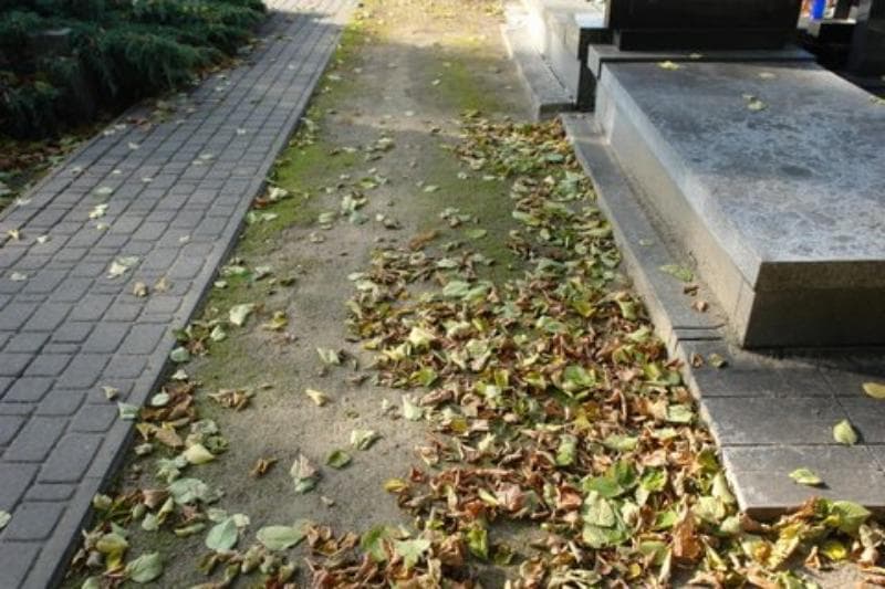 Zdjęcie grobu: Pole Grobowe