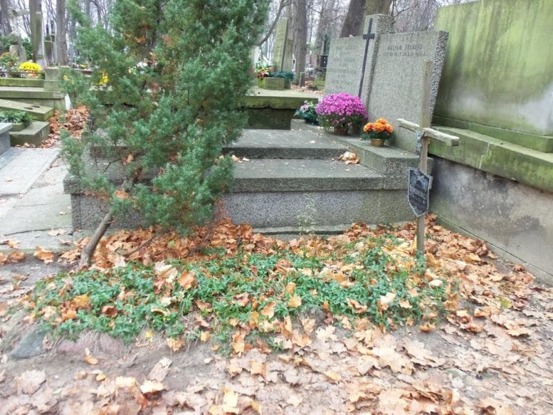 Zdjęcie grobu Jadwiga Bohdanowicz (1)