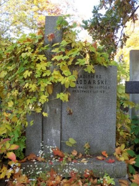 Zdjęcie grobu Kazimierz Włodarski (2)