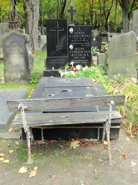 Zdjęcie grobu: Zygmunt Ostrowski