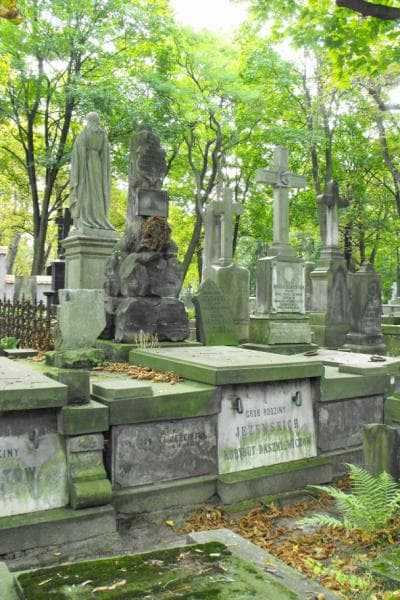 Zdjęcie grobu: Stanisław Osiński