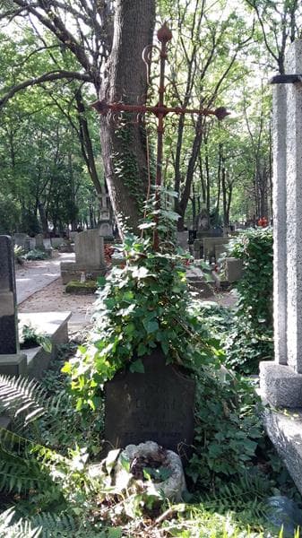 Zdjęcie grobu Józef Wolski (2)