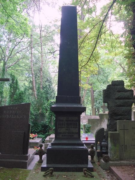 Zdjęcie grobu Aleksander Barcikowski (2)