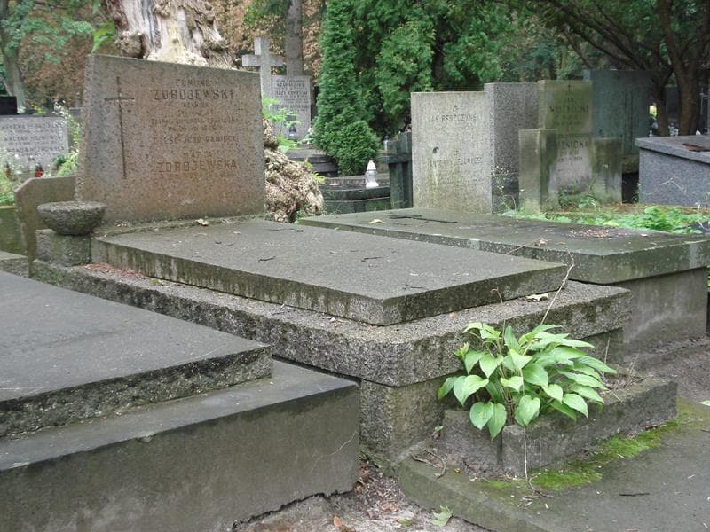 Zdjęcie grobu Edmund Zdrojewski (1)
