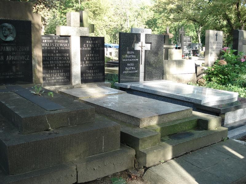 Zdjęcie grobu Tadeusz Waliszewski (1)