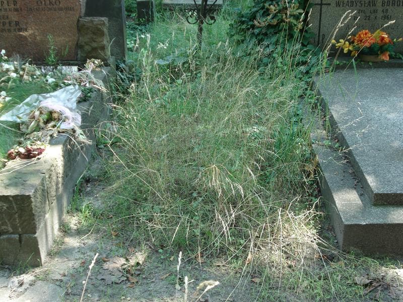 Zdjęcie grobu: Anonim / Włodzimierz Suliński