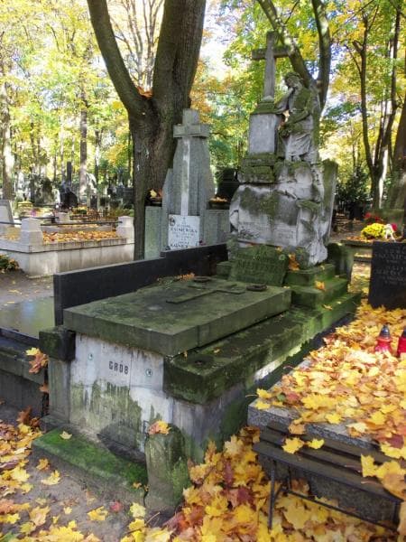 Zdjęcie grobu Emilja Majewska (1)