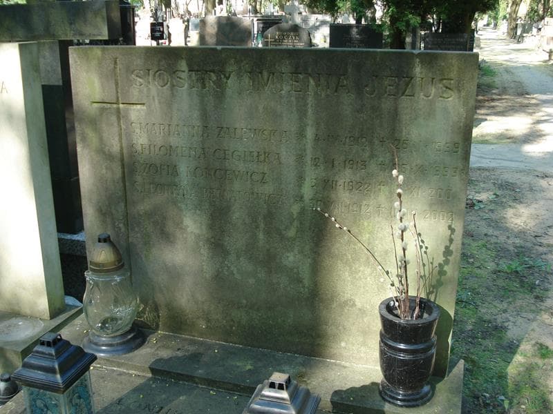 Zdjęcie grobu Apoloniusz Tarłowski (1)