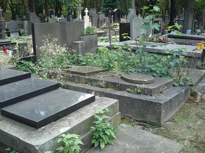 Zdjęcie grobu Witold Leonhard (1)
