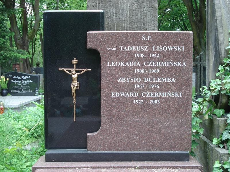 Zdjęcie grobu Edward Czermiński (2)