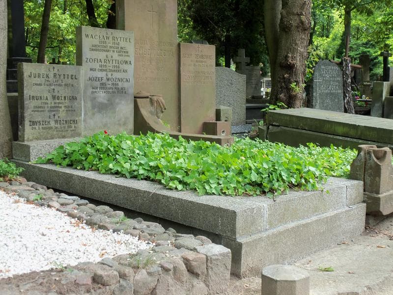 Zdjęcie grobu Józef Woźnicki (1)
