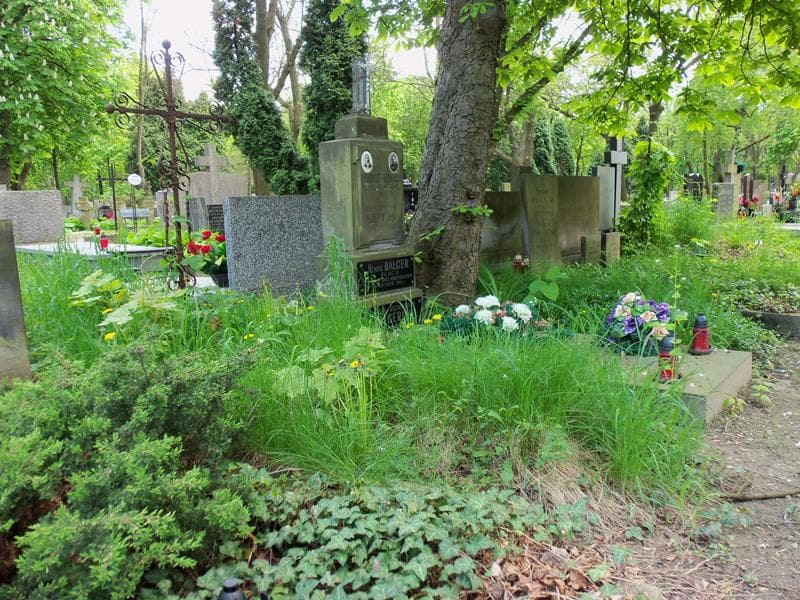 Zdjęcie grobu Anonim (1)