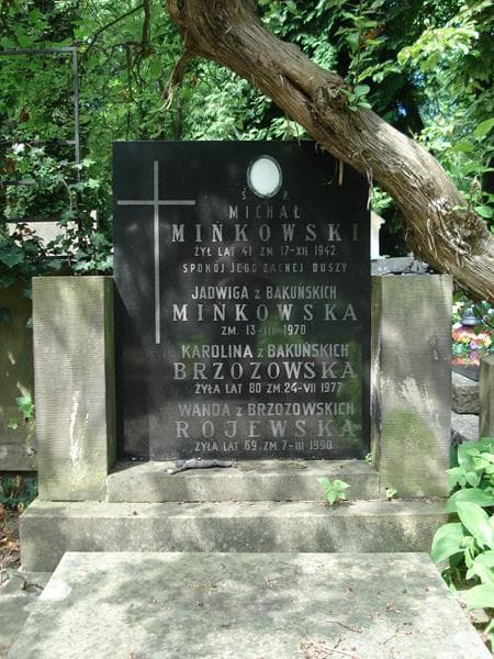 Zdjęcie grobu Karolina Brzozowska (2)