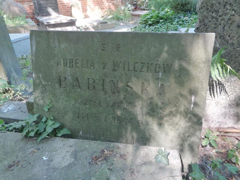 Zdjęcie grobu Aurelia Babińska (2)