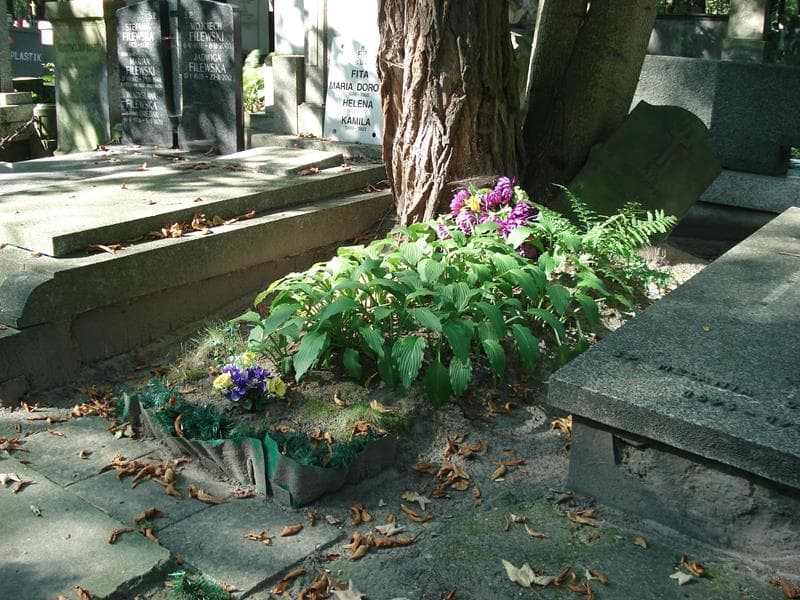 Zdjęcie grobu Kazimierz Nowakowski (1)