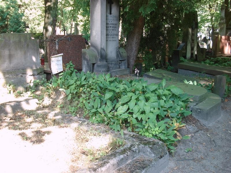 Zdjęcie grobu: Zofia Cienkuszewska