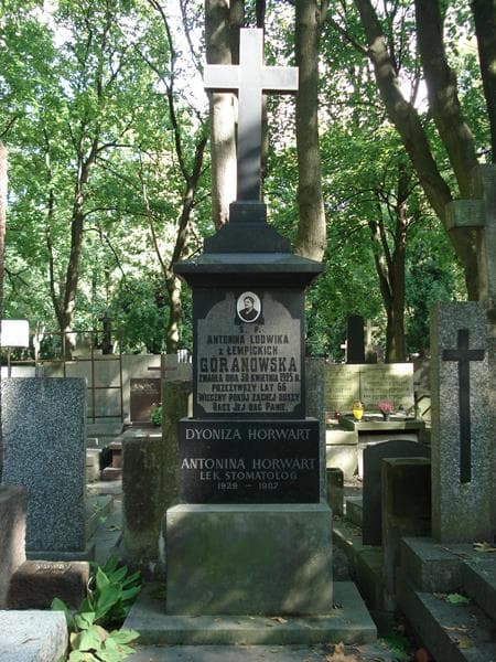 Zdjęcie grobu Antonina Horwart (2)