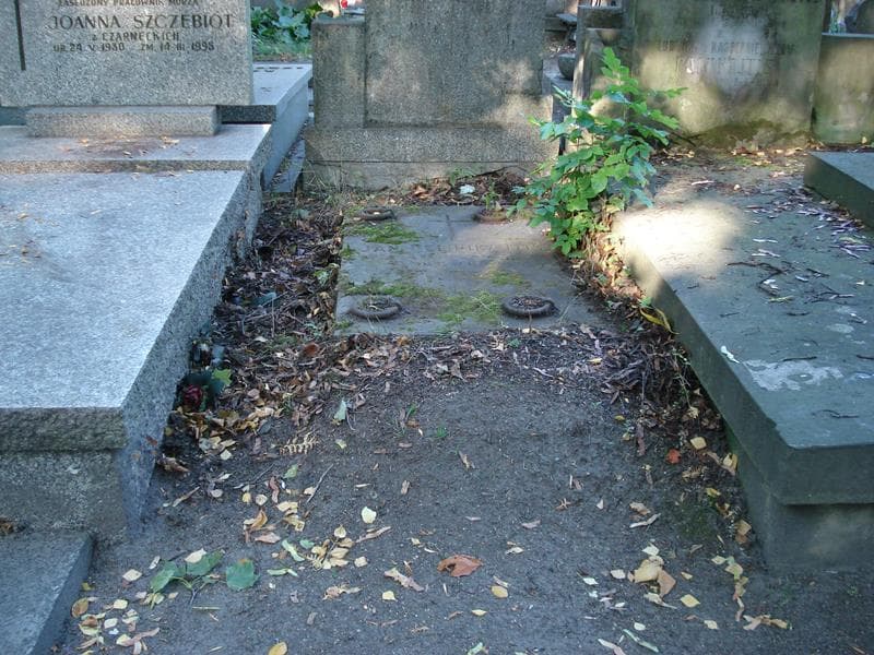 Zdjęcie grobu Jan Delinikajtis (1)