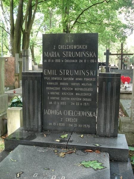 Zdjęcie grobu Emil Strumiński (2)