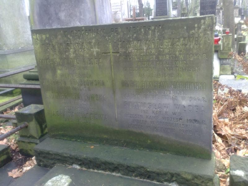 Zdjęcie grobu Stanisław Włoga (1)