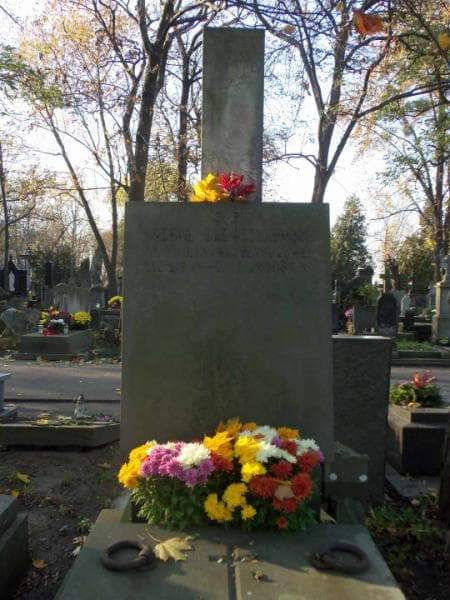 Zdjęcie grobu Walewscy (2)