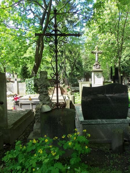 Zdjęcie grobu Stanisław Maruszewski (2)