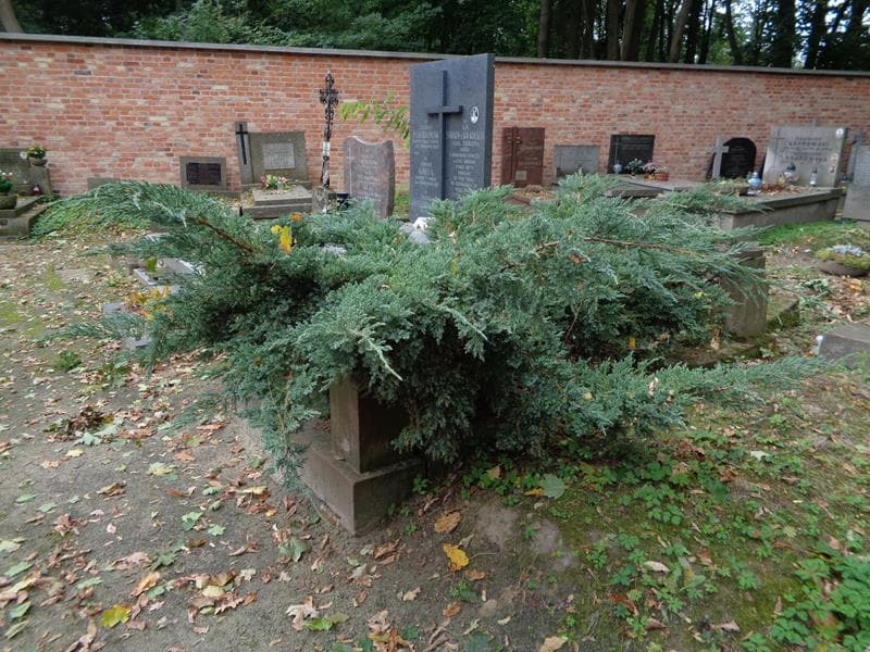 Zdjęcie grobu: Anonim