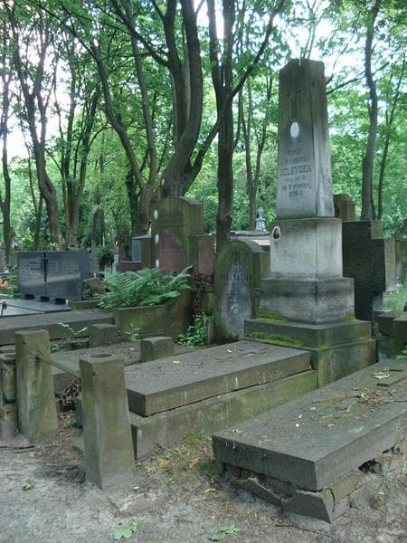 Zdjęcie grobu Zofja Milewska (1)