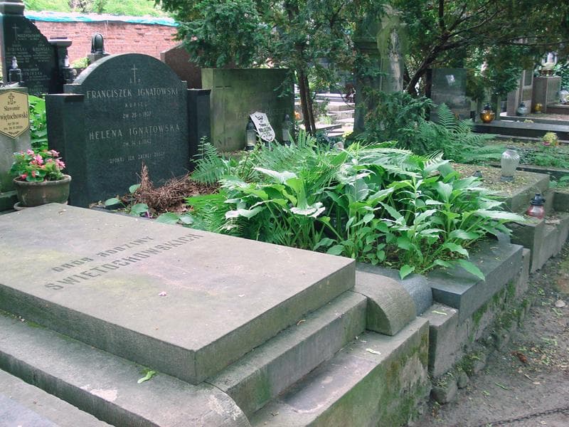 Zdjęcie grobu Helena Ignatowska (1)