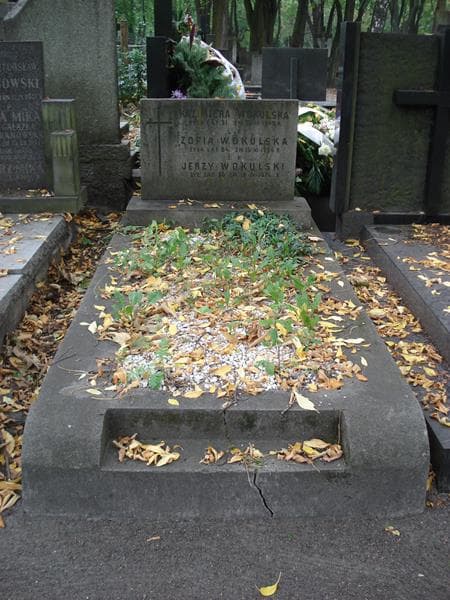 Zdjęcie grobu Jerzy Wokulski (1)