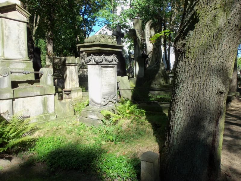 Zdjęcie grobu Zuzanna Krzyżanowska (1)