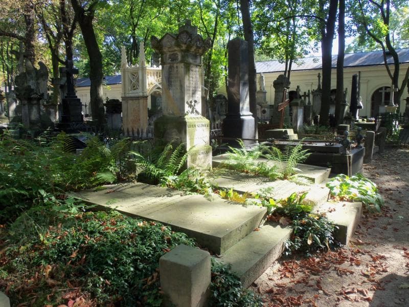 Zdjęcie grobu August Dehnel (1)