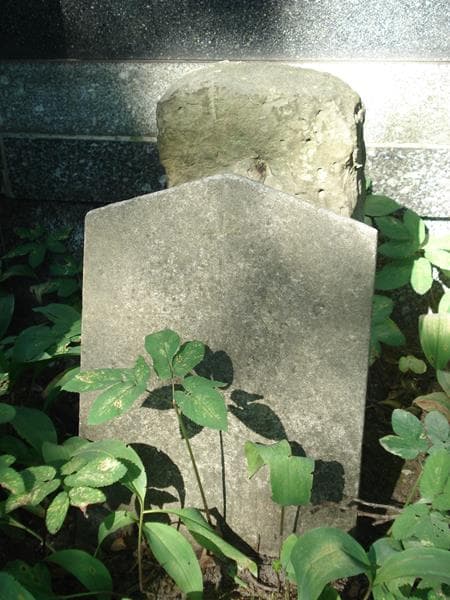Zdjęcie grobu Roman Bohl (1)