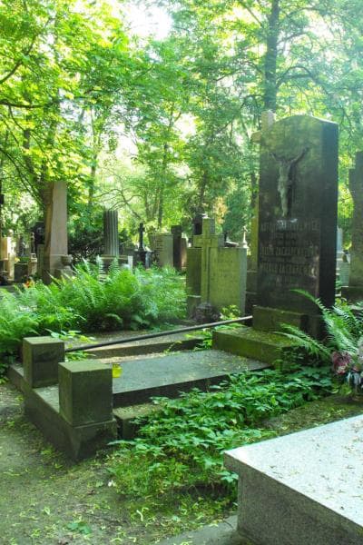 Zdjęcie grobu: Witold Zacharewicz