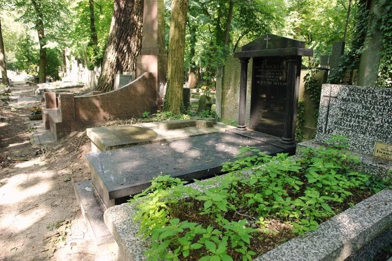 Zdjęcie grobu: Maciej Nałęcz
