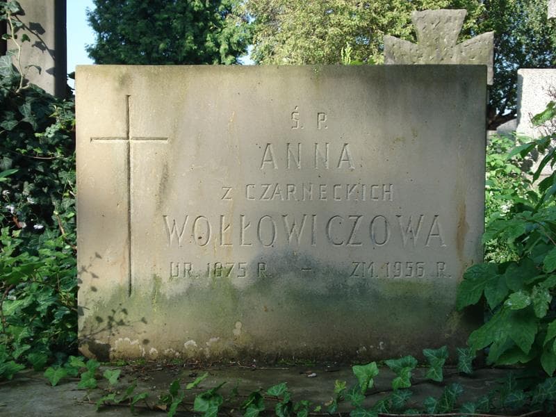 Zdjęcie grobu Anna Wołłowiczowa (2)