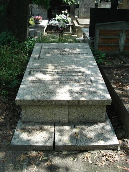 Zdjęcie grobu Kazimiera Ilcewicz (1)