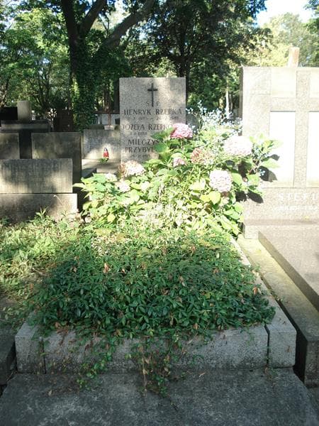 Zdjęcie grobu: Józefa Rzepkowa